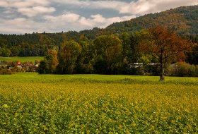 Phoca Thumb M Herbstlandschaft Bei Heimeck 8658 2017